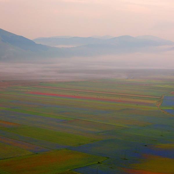 Photograph Della Latta Massimo  Castelluccio on One Eyeland